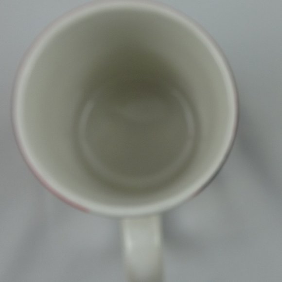 Dale Earnhardt Jr #8 NASCAR Photo Coffee Mug - Picture 6 of 7